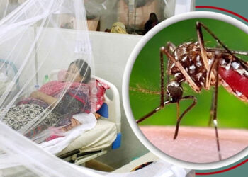 ডেঙ্গুতে একদিনে মৃত্যু ৭ হাসপাতালে ভর্তি ২৭৪২