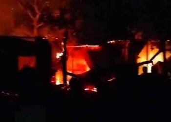 গোপালপুরে আগুনে পুড়লো ১১ ঘর, ৪ গরু