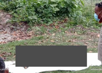 টাঙ্গাইলে ধানক্ষেত থেকে কঙ্কাল উদ্ধার