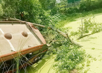 টাঙ্গাইলের মধুপুরে যাত্রীবাহী বাস নিয়ন্ত্রণ হারিয়ে আহত ৩