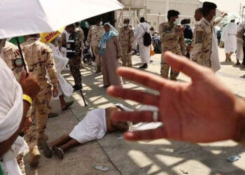 গরমে মৃত হজযাত্রীর সংখ্যা ৯০০ ছাড়িয়েছে