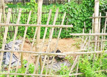 মধুপুরে কবর থেকে ৫ টি কঙ্কাল চুরি, এলাকায় আতঙ্ক