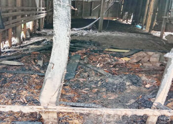 ধনবাড়ীতে রাতের আধারে গোয়াল ঘরে আগুন পুড়েছে গরু 