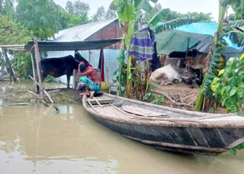 টাঙ্গাইলে ফের বাড়ছে যমুনার পানি