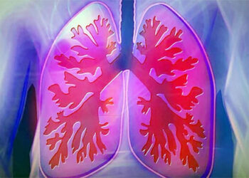 মস্তিষ্ক এমনকি হার্টকে ভালো রাখতে কোন সবজি খাবেন?