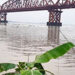 গত দুদিনে হার্ডিঞ্জ ব্রিজ পয়েন্টে পদ্মার পানি কমলো ৩ সেন্টিমিটার