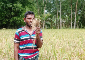 নীতি নির্ধারণে কৃষকের সম্পৃক্ততা থাকুক