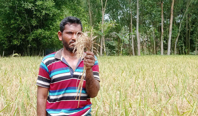 নীতি নির্ধারণে কৃষকের সম্পৃক্ততা থাকুক