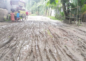 ভোগান্তির শেষ নেই ধনবাড়ীর ৫ মিনিটের সড়ক
