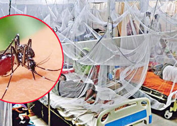 টাঙ্গাইলে ২৪ ঘন্টায় নতুন ১৯ জন ডেঙ্গু জ্বরের রোগী শনাক্ত