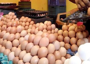 ডিমের বাজারে আগুন, কেউই  নির্দেশনা মানছে না