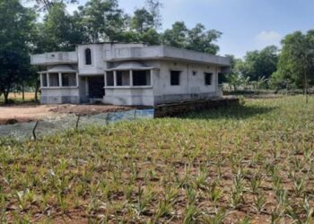 মধুপুর বনাঞ্চলের ৪০ ভাগই প্রভাবশালীদের দখলে