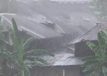 টাঙ্গাইলে আষাঢ়ে বৃষ্টি আশ্বিনে বর্ষার রূপ