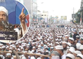 পালায় না বলে পালিয়েছেন শেখ হাসিনা: মামুনুল হক