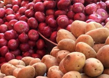 সরকার দাম কমাতে আলু-পেঁয়াজে শুল্ক কমালো সরকার