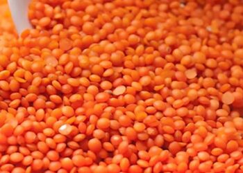 অন্তর্বর্তী সরকার কেজিতে ৪ টাকা কমে মসুর ডাল কিনছে