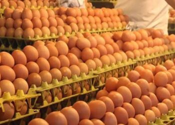 ডিমের দাম আবার বেড়েছে