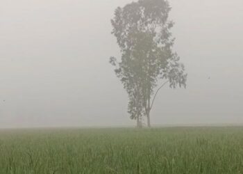 ঘন কুয়াশার দেখা মিলেছে, হতে পারে বৃষ্টিও