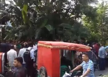 মির্জাপুরে অটোরিকশা ছিনতাইকারীকে আটক করে গণধোলাই