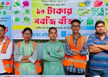 টাঙ্গাইলের ১০ টাকায় তিন রকমের সবজি বীজ বিক্রি