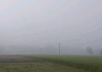 টাঙ্গাইলের ঘন কুয়াশা জানান দিচ্ছে শীতের আগমনী বার্তা