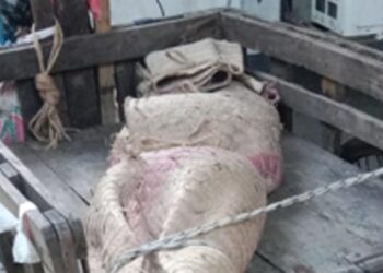 দেলদুয়ারে নবম শ্রেণীর ছাত্রীর বিয়ের ১০ দিন পর লা 'শ