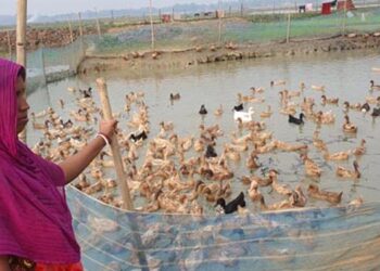 ঘাটাইলের নিঃস্ব ঈশিতার উদ্যোক্তা হওয়ার গল্প