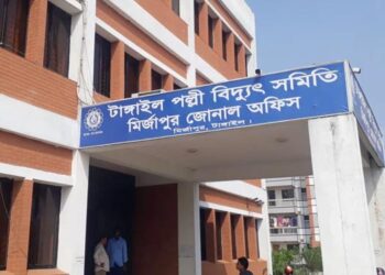 লোডশেডিং-ভূতুড়ে বিলে দিশেহারা মির্জাপুরের দেড় লাখ গ্রাহক