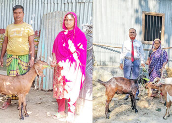 ছাগল পালন করে স্বাবলম্বী গোপালপুরের শিল্পী রানী ও আন্না বেগম