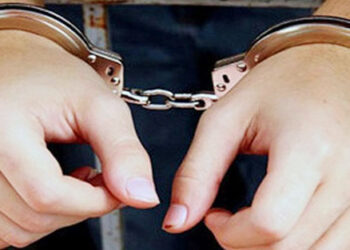 সখীপুরে বৈষম্য বিরোধী ছাত্র আন্দোলনের মিছিলে হামলা: তিন আ. লীগ নেতা গ্রেপ্তার