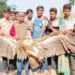 গোপালপুরে বিশাল দেহের অসুস্থ শকুন উদ্ধার