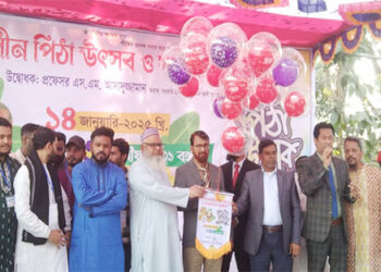 সরকারি মাওলানা মোহাম্মদ আলী কলেজে পিঠা উৎসব অনুষ্ঠিত