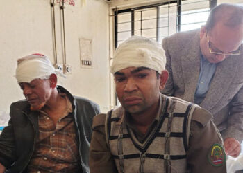 ঘাটাইলের বন মামলায় জামিন নামঞ্জুর, আসামি কারাগারে