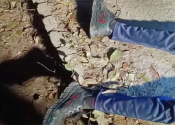 ২০ বছরের যুবককে জবাই করে হত্যা