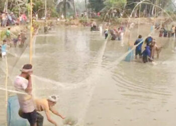 গোপালপুরে অভিনব পন্থায় পুকুরের মাছ শিকার 