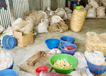 মধুপুরে চিপস ফ্যাক্টরির মালিককে ৫০ হাজার টাকা জরিমানা 