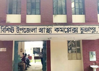 শুকুরের বাচ্চা নিয়ে মারামারি, তর্কে জড়িয়ে বিএনপির দুই নেতা হাসপাতালে 