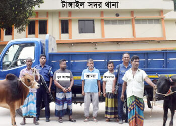 টাঙ্গাইল সদর থানাধীন চাঞ্চল্যকর গরু ডাকাতি মামলার রহস্য উদঘাটন