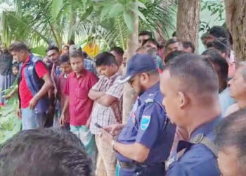 সখীপুরে ধান ক্ষেত থেকে গৃহবধূর লাশ উদ্ধার