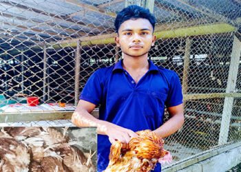 গোপালপুরে ব্যাপক মড়কে সর্বশান্ত হচ্ছে পোল্ট্রি খামারীরা 