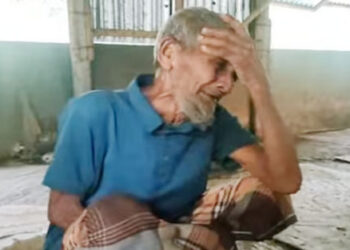 চারটি গরু হারিয়ে শুধু ফুঁপিয়ে ফুঁপিয়ে কাঁদছেন কৃষক শামসুল