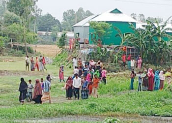 কালিহাতীতে লেয়ার মুরগির খামারের এক কর্মচারীকে জবাই করে হত্যা