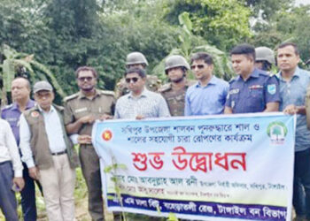 সখীপুরে সংরক্ষিত শালবনের ১৩ একর জমি উদ্ধার, রোপণ করা হলো ১১ হাজার গাছের চারা
