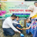 কালিহাতীতে একযোগে প্রাথমিক বিদ্যালয়ে বৃক্ষ রোপন কর্মসূচির
