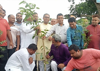 কেন্দ্রীয় কর্মসূচীর অংশ হিসেবে নাগরপুরে কৃষকদল ও ছাত্রদলের বৃক্ষরোপন কর্মসূচী