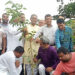 কেন্দ্রীয় কর্মসূচীর অংশ হিসেবে নাগরপুরে কৃষকদল ও ছাত্রদলের বৃক্ষরোপন কর্মসূচী