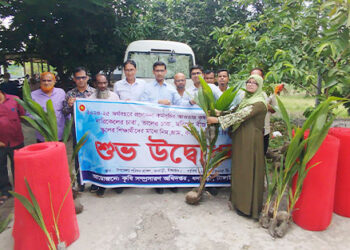 ধনবাড়ীতে কৃষক ও প্রতিষ্ঠান পর্যায়ে সবজি বীজ ও ফলের চারা বিতরণ