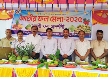 ধনবাড়ীতে জাতীয় ফল মেলা -২০২৫ উপলক্ষে দেশী ফল প্রদর্শনী