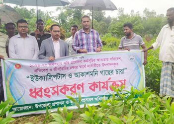 মধুপুরে প্রশাসনের অভিযানে তিন লক্ষাধিক ইউক্যালিপটাস ও আকাশমনি চারা নিধন