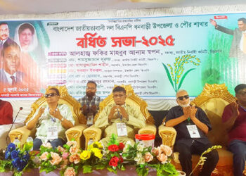 বিএনপির ধনবাড়ী উপজেলা ও পৌর শাখার বর্ধিত সভা-২০২৫ অনুষ্ঠিত